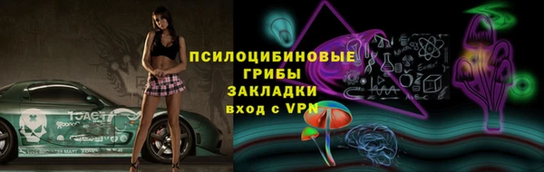 ешки Белокуриха