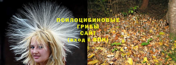 мяу мяу мука Беломорск